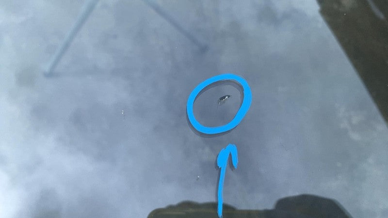 ⭕ 2016-2020 Tesla Model S Front Windshield Wind Screen Glass suit w/ T