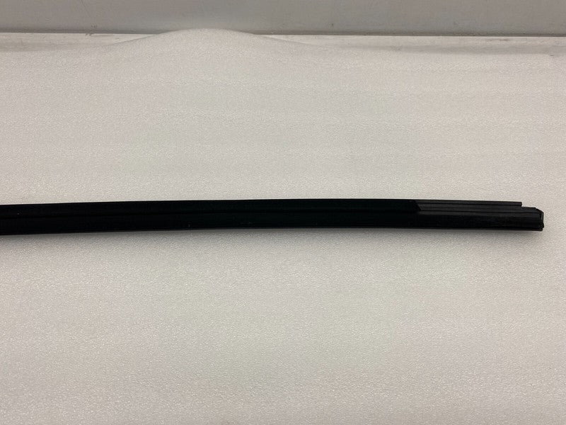 ⭕ 2020-2023 Tesla Model 3 Rear Driver Side Exterior Door Outer Belt Black Left