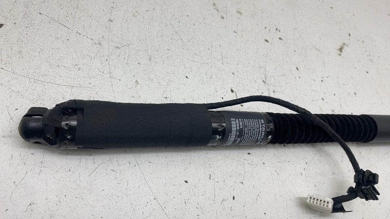 ⭕ 16-20 Model X MX Front Left/Rear Right Primary Falcon Door Strut 106