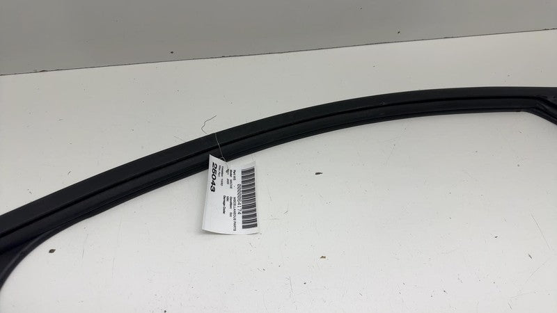 LJ8BR21510AH ⭕ 21-24 Mustang Mach-E Front Right Window Glass Run Channel Seal LJ8B-R21510-AH
