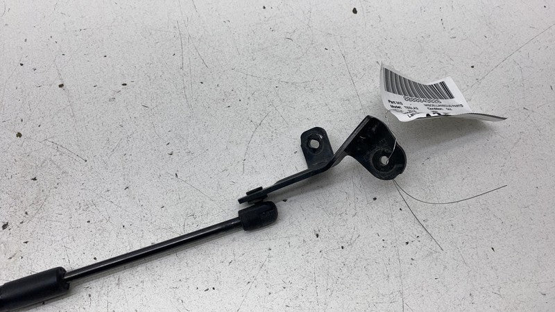 1091472 00 B 2017-2023 Tesla Model 3 M3 Front Driver Side Hood Lift Shock Strut Support Left