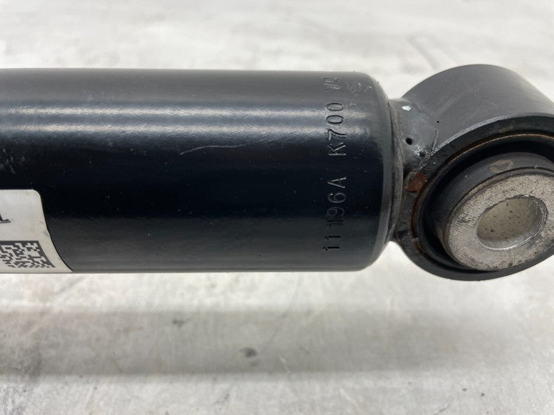 ⭕ 16-20 Model S Rear Right Suspension Air Spring Shock Strut Module 10