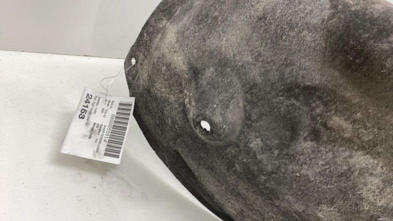 1081586-00-C 2017-2023 Tesla Model 3 M3 Rear Right Wheel Fender Liner Splash Shield Guard OEM