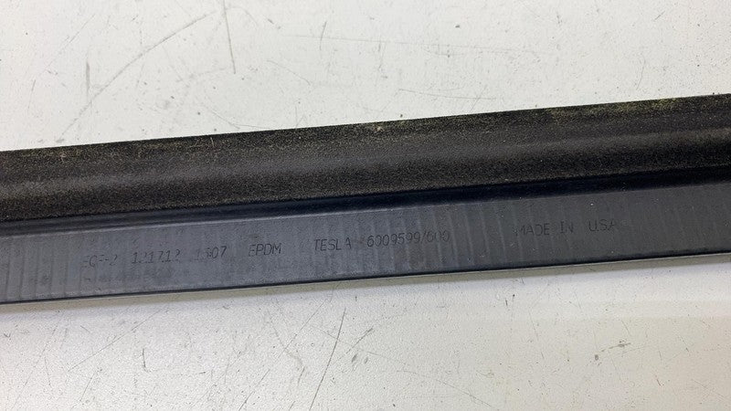 ⭕16-20 Tesla Model S Front Passenger Side Door Window Belt Molding Rig