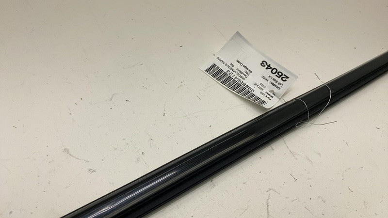 ⭕ 2021-2024 Ford Mustang Mach-E Left Door Window Inner Belt Weatherstrip Seal LH