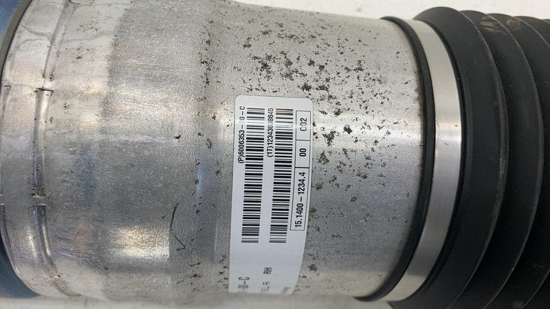 600635300C ⭕ 12-15 Model S Rear Right Air Suspension Spring Shock Absorber RWD 6006353-00-C