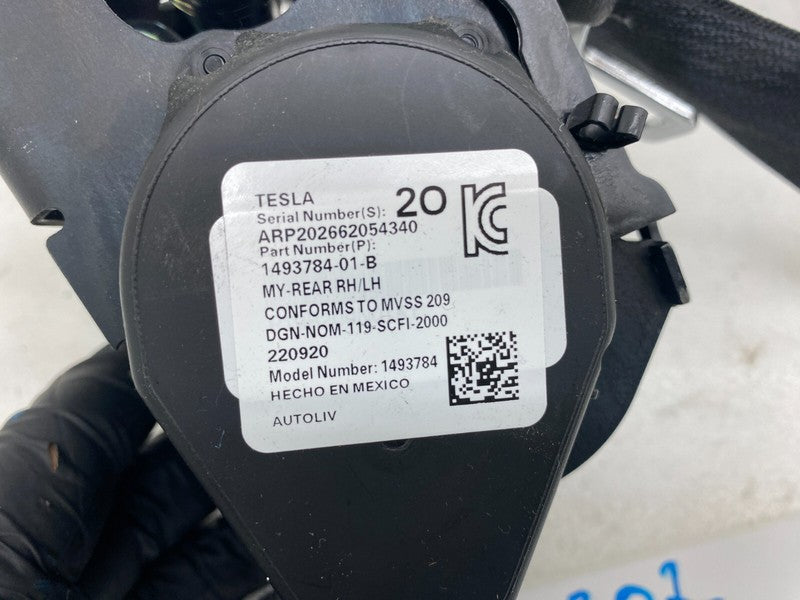 149378401B ⭕ 2020-2023 Tesla Model Y Rear 2nd Row Seat Belt & Retractor Right 1493784-01-B