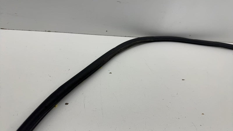 LJ8B-R20530 ⭕ 2021 2022 2023 2024 Ford Mustang Mach-E Front Door Weatherstrip Seal OEM
