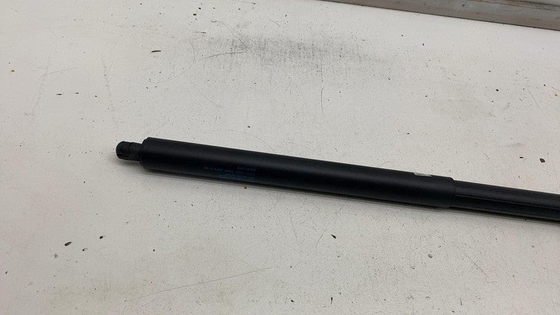 ⭕ 2012-2024 Tesla Model S Rear Left Liftgate Trunk Spring Strut LH 600