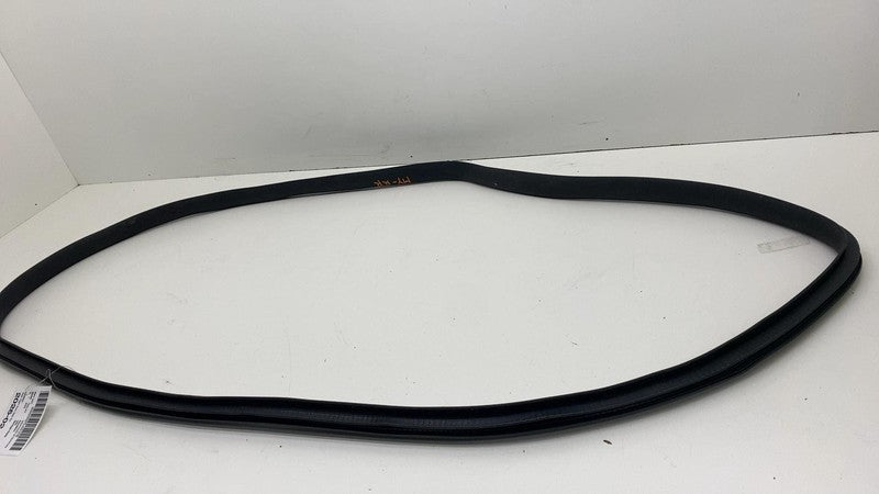 2020-2023 Tesla Model Y Rear Passenger Right Door Body Weatherstrip Rubber Seal
