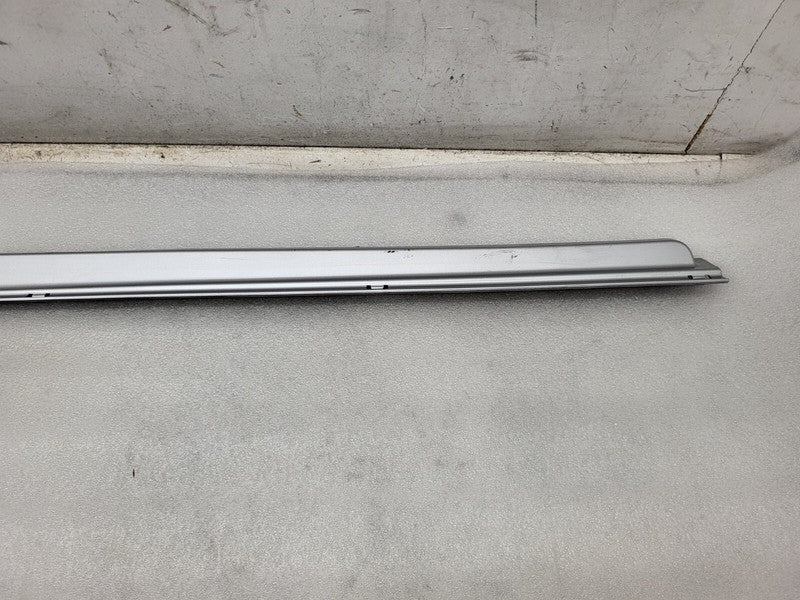 101221500F ⭕ 12-25 Model S Driver Side Rocker Panel Scuff Plate Molding Left 1012215-00-F