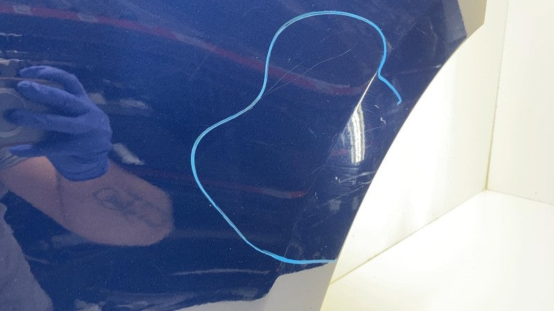 1493561-EC-A ❇️20-24 Tesla Model Y MY Rear Driver Side Door Shell Panel Left LH OEM Blue PPSB