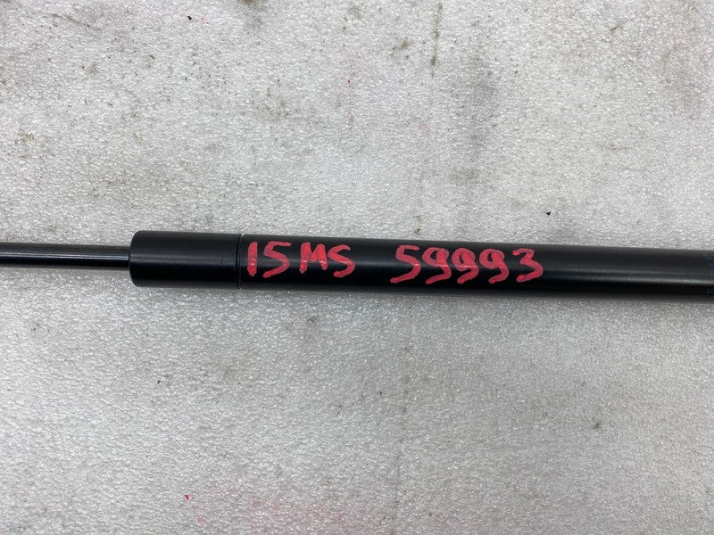 195505 0460N ⭕ 2012-2020 Tesla Model S Front Passenger Side Bonnet Hood Lift Gas Strut Right