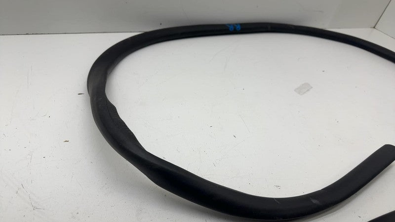 ⭕ 21-24 Mustang Mach-E Rear Passenger Right Door Body Weatherstrip Rubber Seal