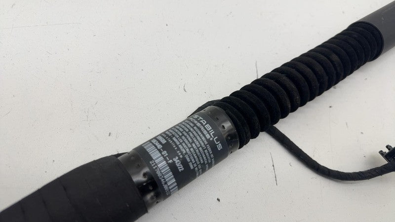 ⭕ 16-24 Tesla Model X Rear Right/Front Left Primary Door Lift Strut 10