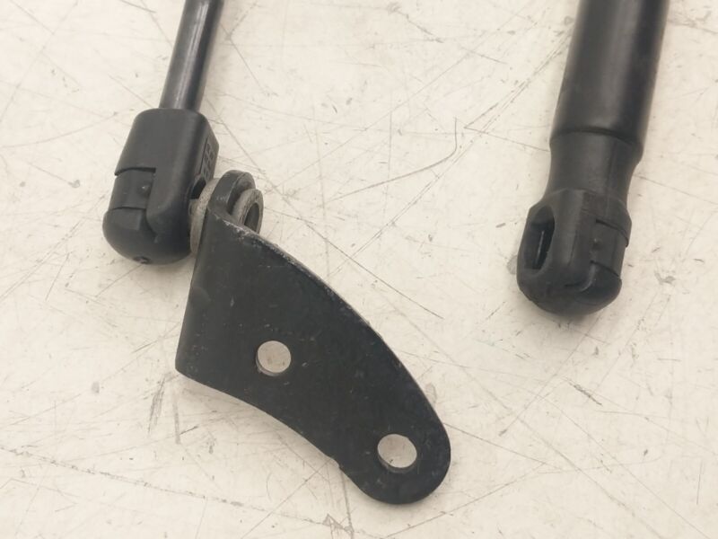 195505 0460N 2012 2013 2014 2015 Tesla Model S PAIR Left & Right Hood Lift Gas Strut Assy OEM