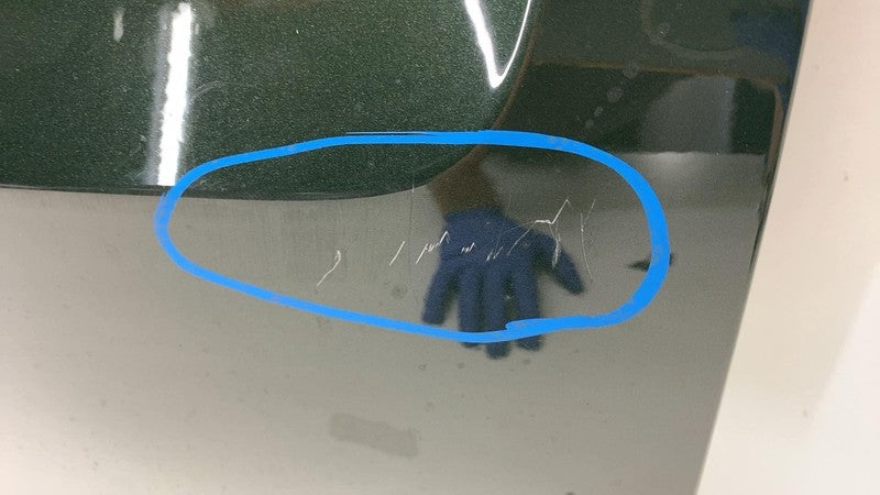 ⭕ 22-24 Rivian R1T Rear Truck Bed Door Tailgate Shell Assy Forest Green - EXP006