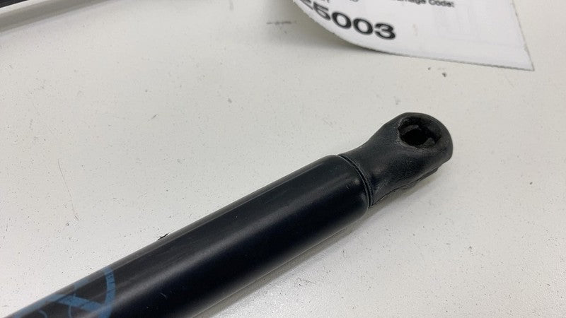 AM51 R406A10 BA 2013-2018 Ford C-Max PAIR of Rear Trunk Hatch Liftgate Gas Spring Lift Support