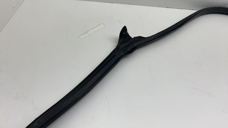 2017-2023 Tesla Model 3 Front Passenger Door Primary Weatherstrip Seal Right RH