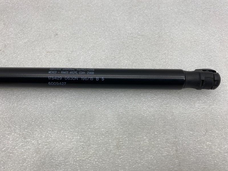 6009427 ⭕ 2012-2020 Tesla Model S Rear Right Tailgate Trunk Liftgate Gas Strut 6009427