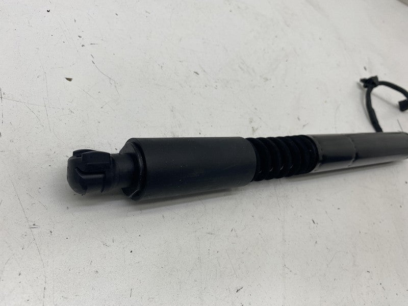 ⭕16-23 Model X Rear Left/Right Secondary Falcon Door Liftgate Strut 10