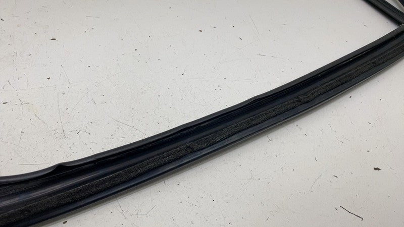 1484041-00-D ⭕ 2016-2024 Tesla Model X Rear Driver Side Door Window Seal Left LH 1484041-00-D