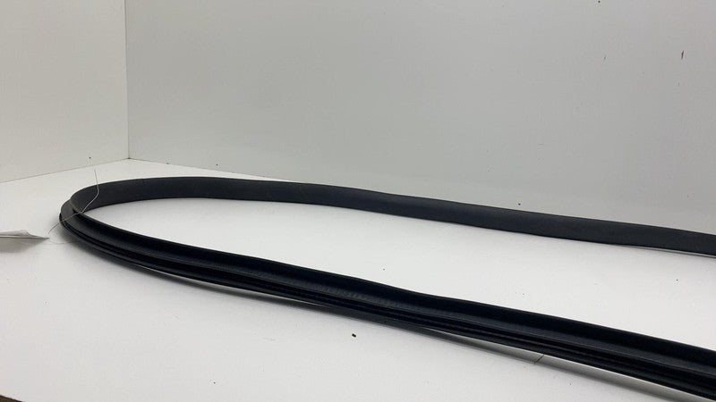 2020-2023 Tesla Model Y Rear Driver Side Door Body Weatherstrip Rubber