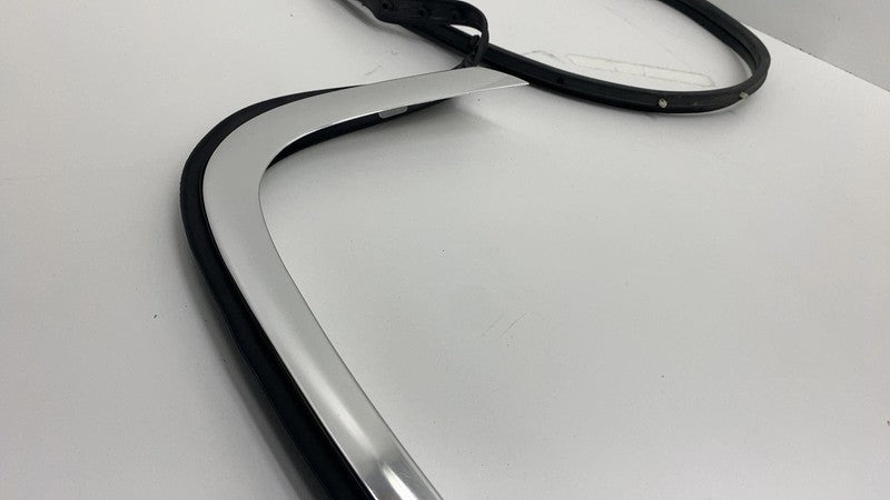 2018-2023 BMW 530e G30 Rear Weatherstrip Run Guide Channel w/ Molding Trim Assy