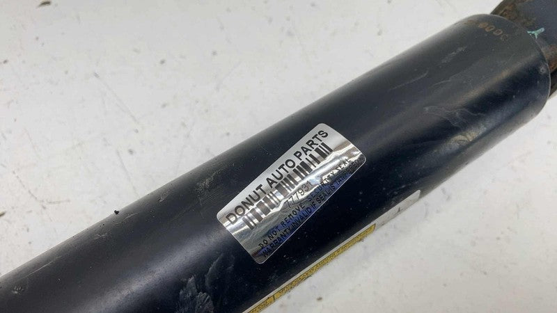 ⭕ 16-20 Model S Rear Left Suspension Air Spring Shock Absorber AWD 106