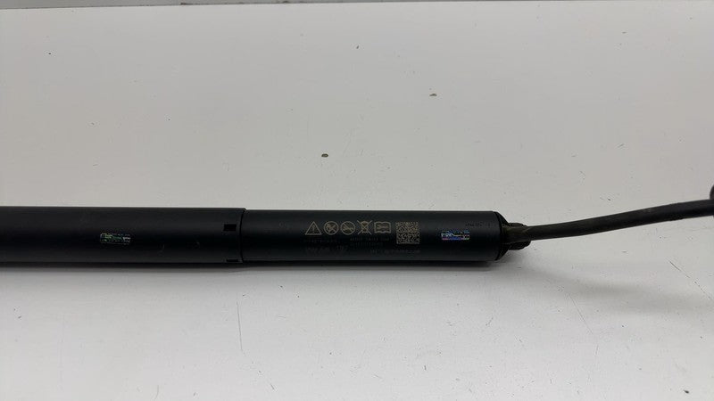 ⭕ 2019-2024 Porsche Cayenne Left or Right Tailgate Trunk Shock Lift Cylinder OEM
