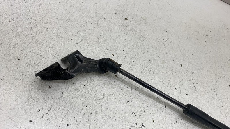 ⭕ 17-23 Tesla Model 3 Front Left or Right Bonnet Hood Shock Strut 1091