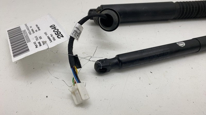 155148900B ⭕ 2017-2023 Model 3 M3 PAIR of Rear Trunk Lid Tailgate Shock Struts 1551489-00-B