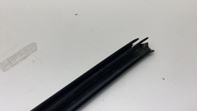 ⭕ 2021-2024 Ford Mustang Mach-E Right Door Window Inner Belt Weatherstrip Seal