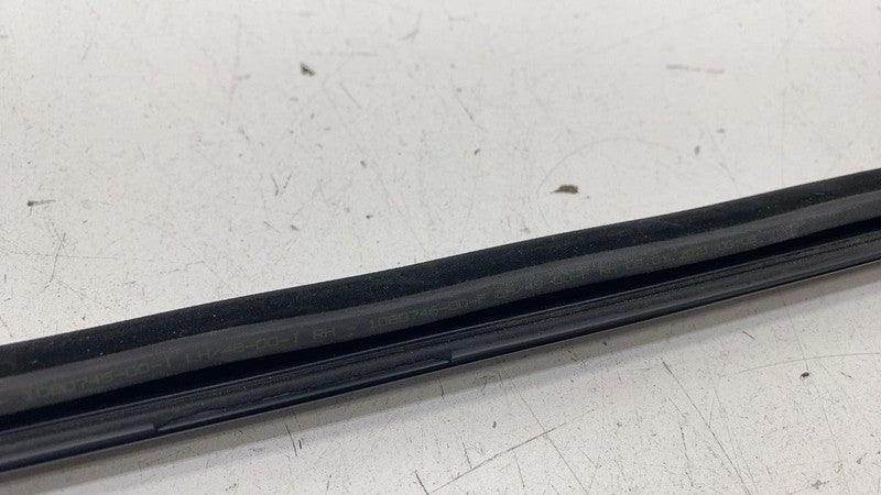 108074500I ⭕ 2021-2025 Tesla Model 3 Rear Right Door Window Outer Belt Molding 1080746-00-F