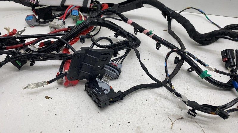 ⭕ 2025-2026 Tesla Model Y Front End Main Body Wiring Harness Cable Wir