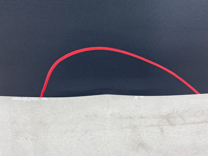 ⭕ 2017 2018 2019 2020 Tesla Model 3 M3 Rear Trunk Deck Lid Shell Panel Assembly