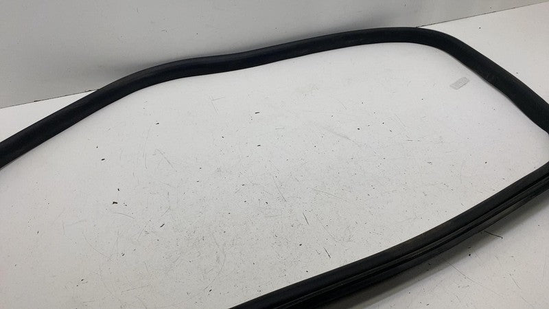 1910983-00-C ⭕ 24-25 Model 3 Front Left Primary Body Weatherstrip Rubber Seal LH 1910983-00-C