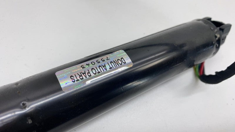 106344100C 2016-2024 Tesla Model X Rear Left or Right Secondary Falcon Door Liftgate Strut