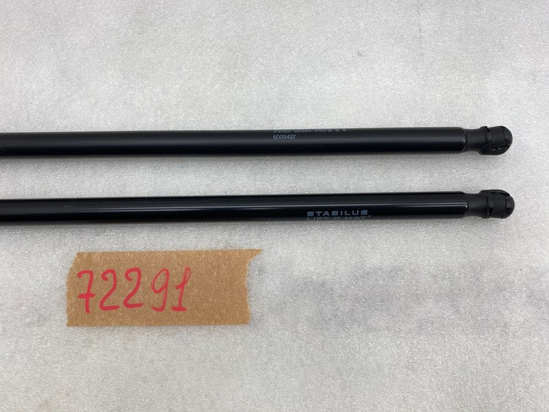 6009427 ⭕ 12-20 Tesla Model S Left & Right Trunklid Liftgate Gas Strut 6006608 / 6009427