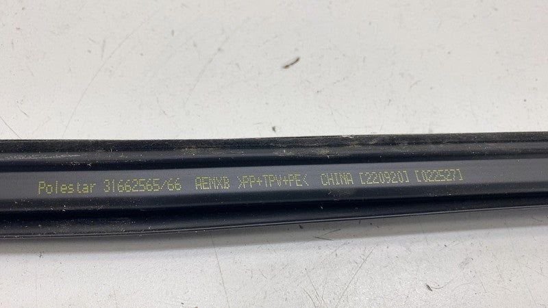 31662565 ⭕ 21-23 Polestar 2 Front Right Door Window Inner Belt Weatherstrip Seal 31662565