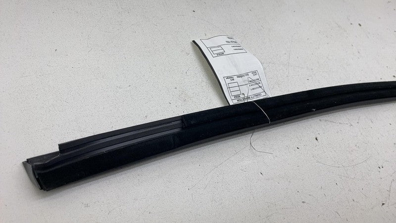 ⭕ 2024-2025 Tesla Model 3 Rear Right Side Door Window Seal Molding Bel