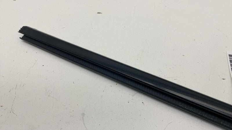 ⭕ 2021-2024 Ford Mustang Mach-E Left Door Window Inner Belt Weatherstrip Seal LH