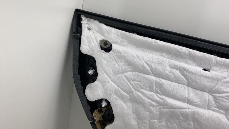 2024 2025 Tesla Model 3 Rear Passenger Side Highland Door Panel Trim C