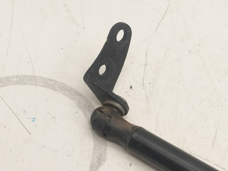 6006603 ⭕ 2012-2020 Tesla Model S Front Passenger Side Hood Lift Gas Strut Right 6006603