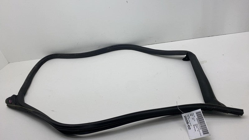 2017-2023 Tesla Model 3 Front Passenger Door Primary Weatherstrip Seal Right RH