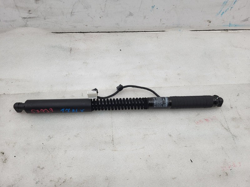 1063440 00 D 16-22 Model X Rear Left Front Right Falcon Door Shock Strut Support 1063440-00-D