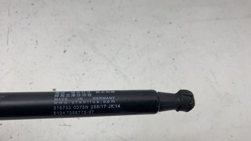 315733 0375N ⭕ 2014-2021 BMW i3 Rear Left Trunk Lid Hatch Liftgate Support Shock Strut Damper