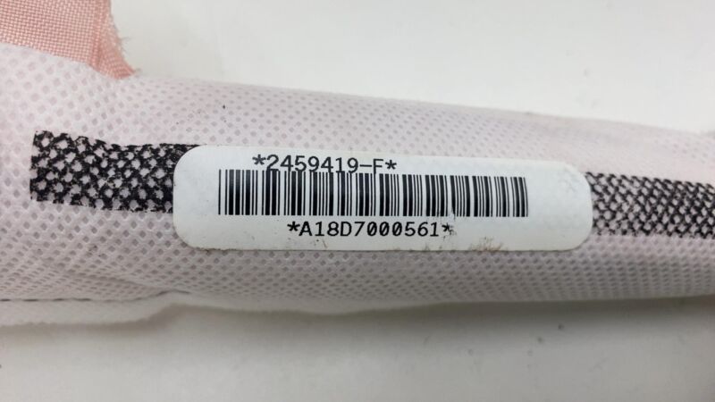 2012-2020 Tesla Model S MS Left Driver Roof Curtain Airbag OEM LH 1005261-00-C