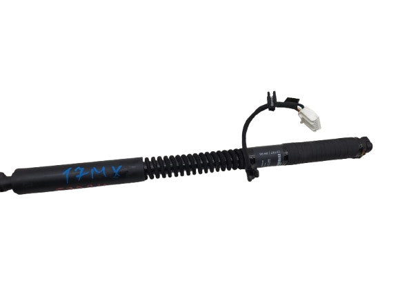 16-25 Model X Rear Left or Right Primary Falcon Door Lift Gas Strut 10