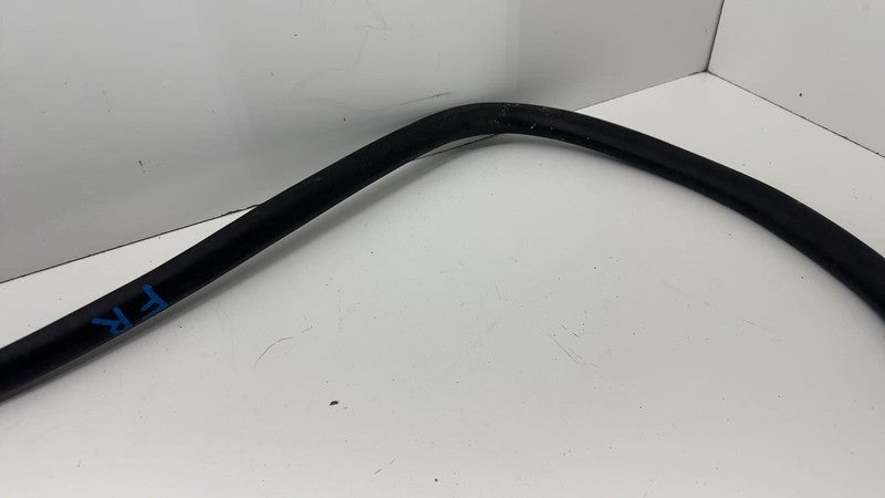 ⭕ 21-24 Mustang Mach-E Front Passenger Right Door Body Weatherstrip Rubber Seal
